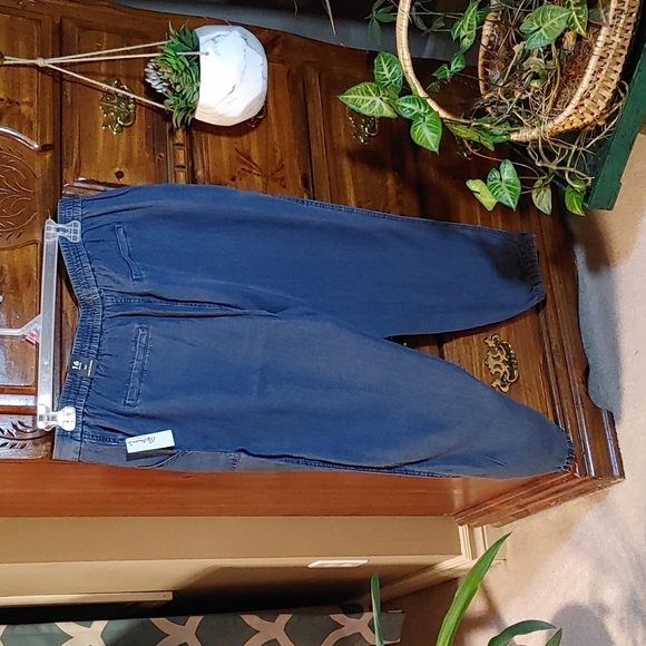 💚Reitmans Denim Slim Jeans Size 16 Petite NWT - Picture 6 of 12